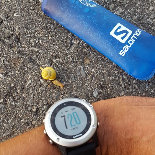 Slow down... so wie die Schnecke auf ihrem "salomon soft flask run"