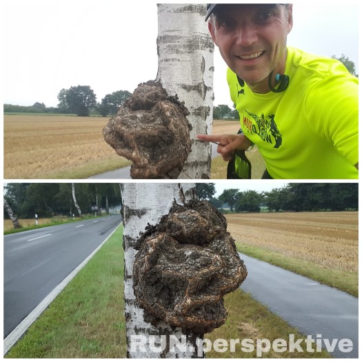 IMG_20170809_124251_505